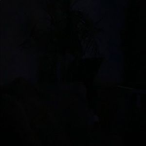 Meet your Posher, Michelle m.